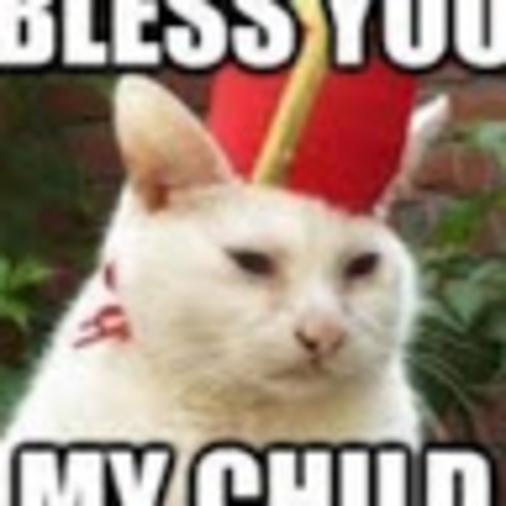 Meet your Posher, Katrina